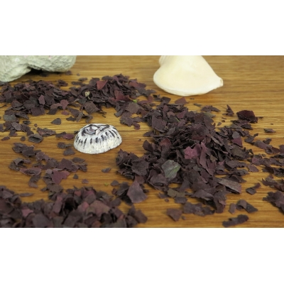 Dulse-Flocken aus Wildernte