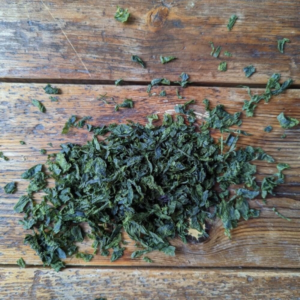 Meersalat aus Wildernte