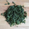 Meersalat aus Wildernte
