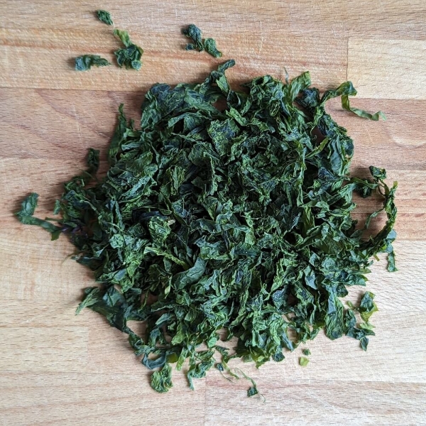 Meersalat aus Wildernte
