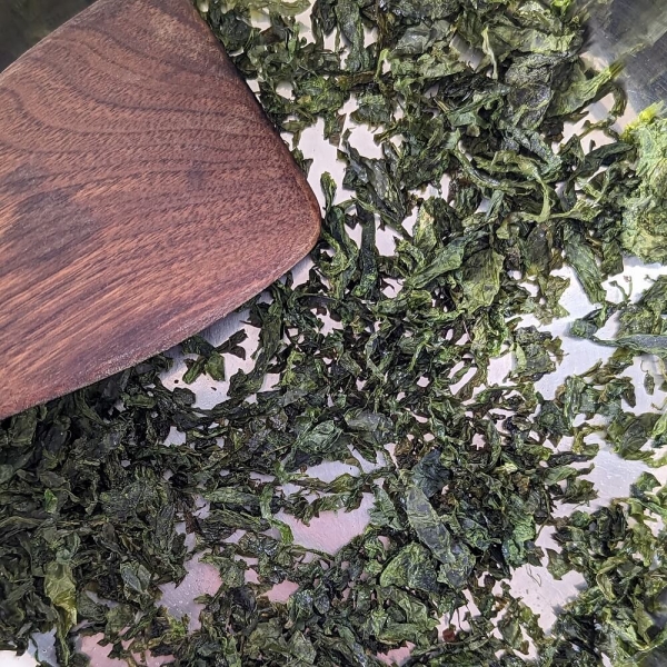 Meersalat aus Wildernte