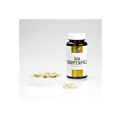 Cordyceps sinensis Kapseln