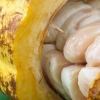 Granos de cacao (crudos) con pulpa de goodmoodfood